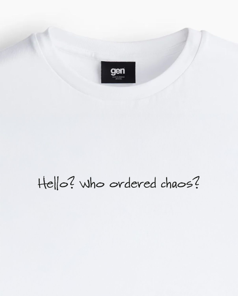 T-Shirt - Hello? Who ordered chaos?